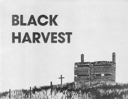 Black Harvest 1